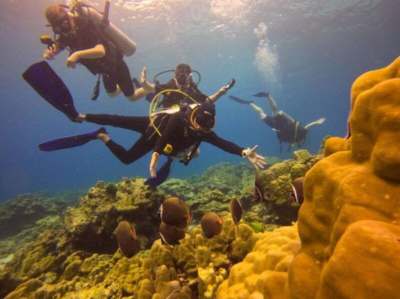 from-phuket-full-day-similan-island-scuba-diving-day-trip
