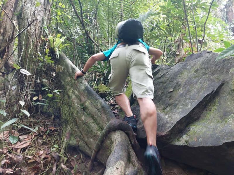 From Phuket: Guided Rainforest Hike with Lunch - Exploring the Itinerary in Detail