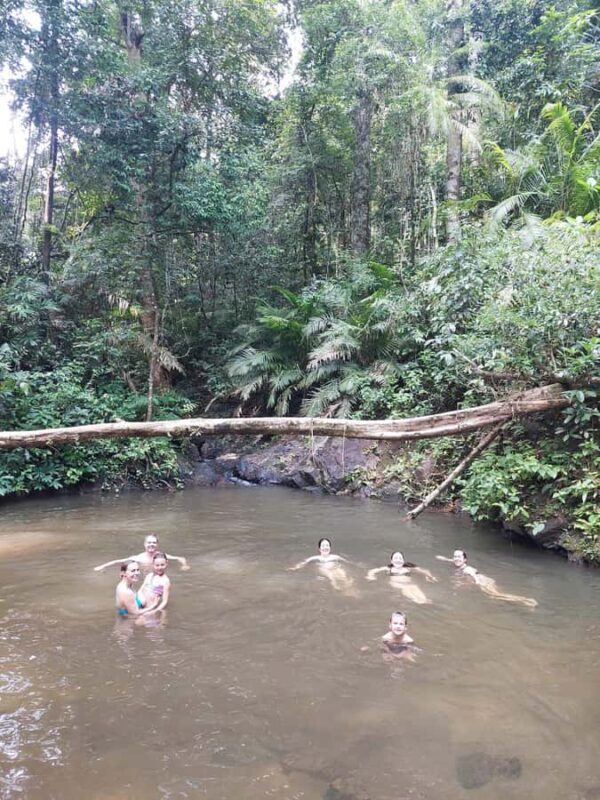 From Phuket: Guided Rainforest Hike with Lunch - Authenticity & Overall Value