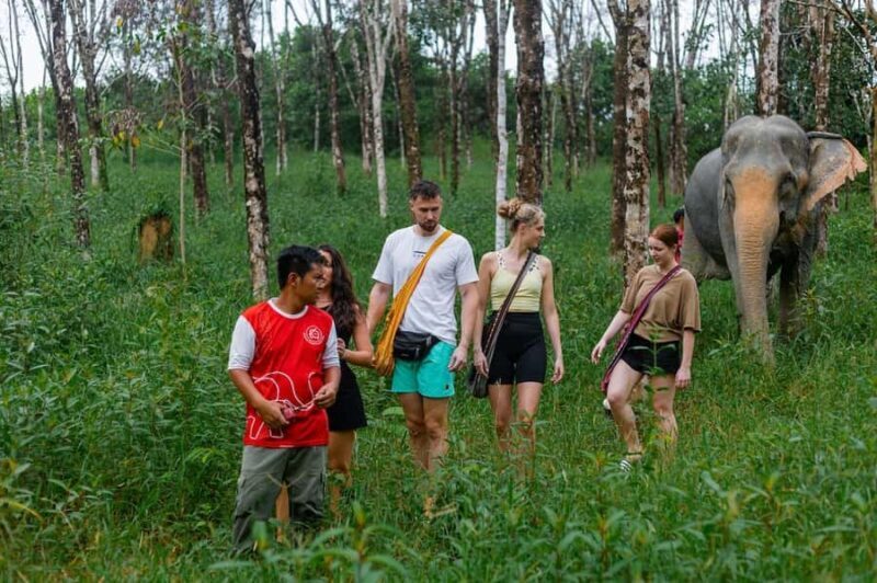 From Phuket: Khao Lak ATV, Zipline, Rafting & Wildlife Tour - Key Points