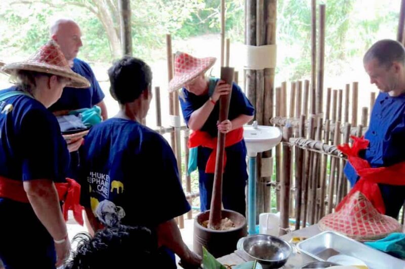 From Phuket & Khao Lak: Elephant Care with Waterfall Visit - The Authentic and Ethical Element