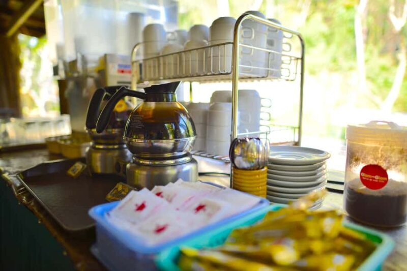 From Phuket & Khao Lak: Elephant Care with Waterfall Visit - Final Words