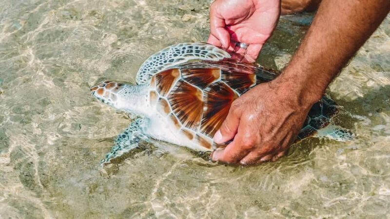 From Phuket: Khao Lak Highlights Full-Day Tour - FAQ