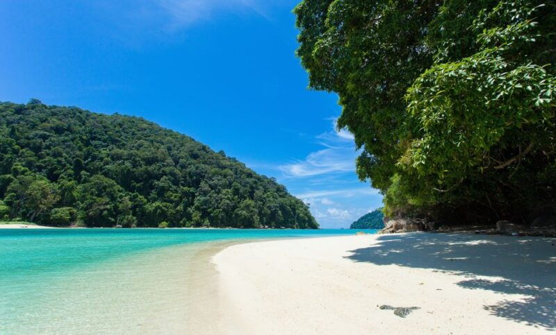 from-phuket-or-khaolak-surin-islands-day-trip