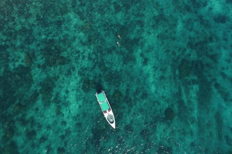 From Phuket: Phi Phi Island Private Full-Day Speedboat Trip - Who Should Consider This Tour?