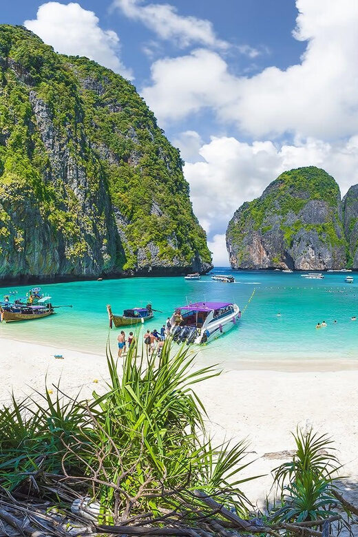From Phuket: Phi Phi Islands Speedboat Tour - Snorkeling and Marine Life Encounters