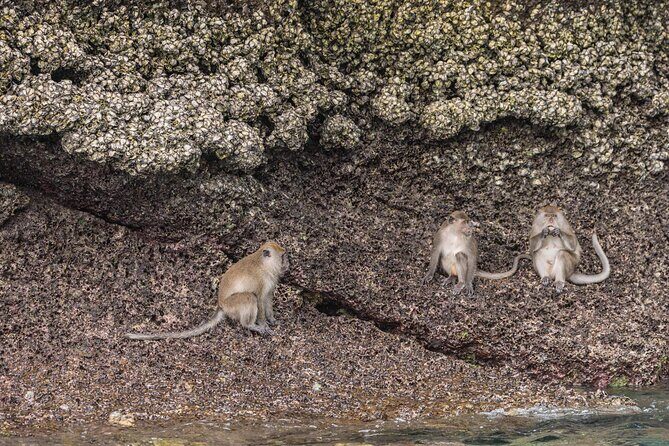 From Phuket: Phi Phi & Khai Islands Snorkel Tour with Lunch - FAQ