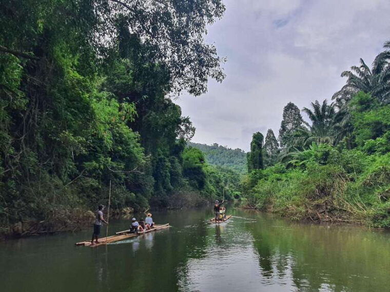 from-phuket-private-the-best-of-khao-sok-lake-rafting