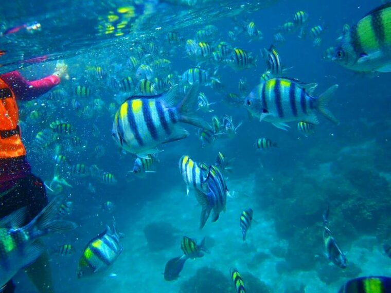 from-phuket-racha-islands-private-speedboat-tour
