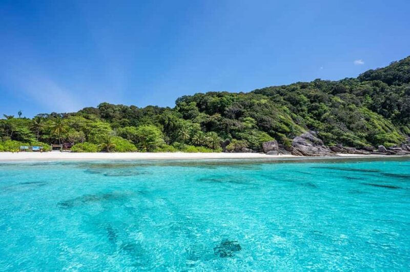 From Phuket: Similan Islands Snorkeling Trip by Speedboat - The Sum Up