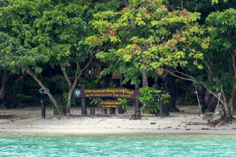 From Phuket: Surin Islands Snorkeling Day Trip with Lunch - Who Should Consider This Tour?