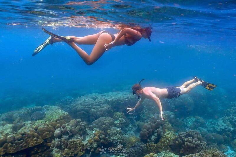 from-phuket-surin-islands-snorkeling-trip