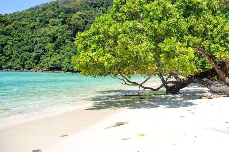 from-phuket-surin-islands-snorkeling-trip