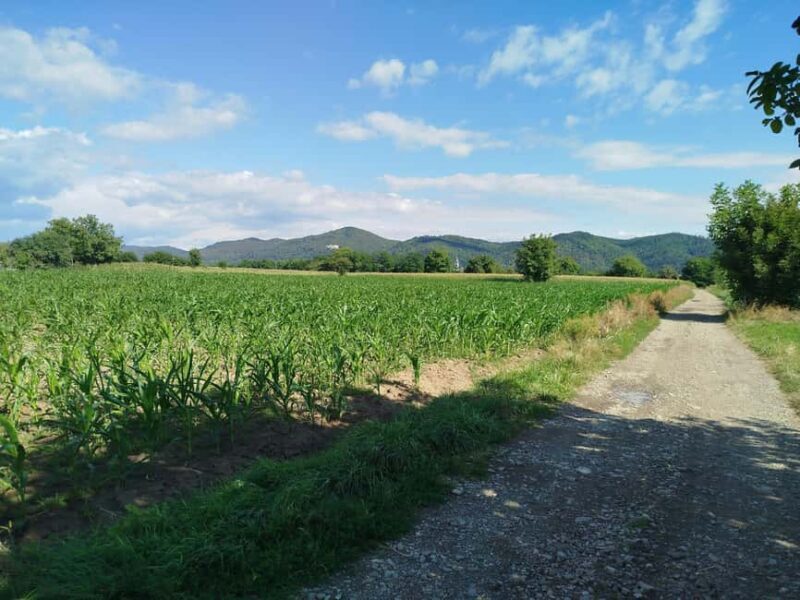 From Piatra Neam: Neam Citadel and Târgu Neam Guided Tour - Final Thoughts
