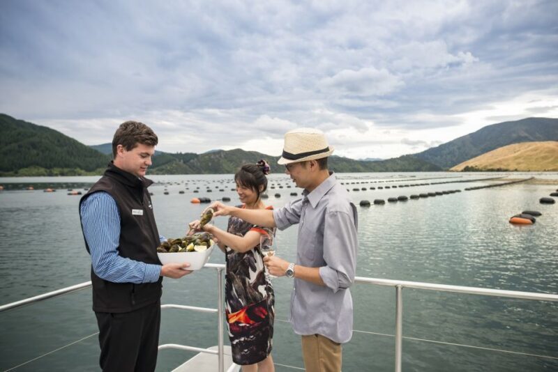 From Picton: Marlborough Sounds Cruise with Seafood - Exploring the Itinerary and Highlights