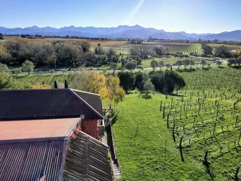 From Picton: Marlborough Wine Shore Excursion - The Sum Up: Is This Tour Worth It?