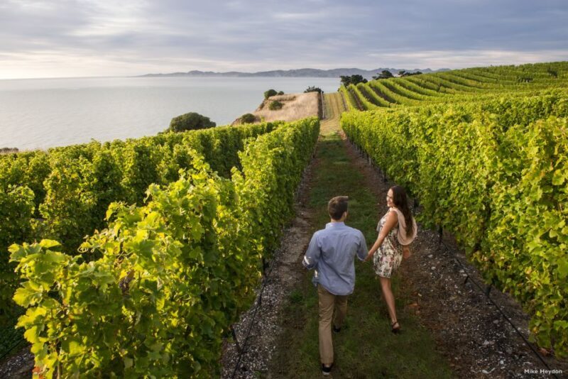 From Picton: Marlborough Wine Trip Shore Excursion - FAQ