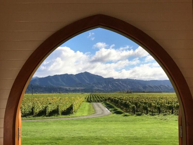 From Picton: Private Wine and Gourmet Tour of Marlborough - An In-Depth Look at the Tour
