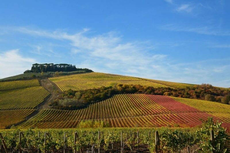 from-pisa-or-lucca-half-day-tuscany-chianti-wine-tasting