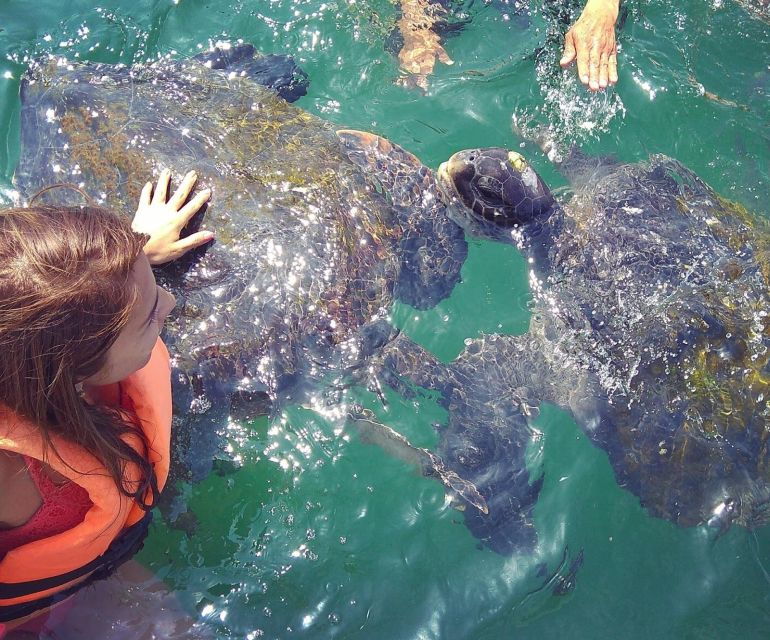 from-piura-excursion-to-mancora-swimming-with-turtles