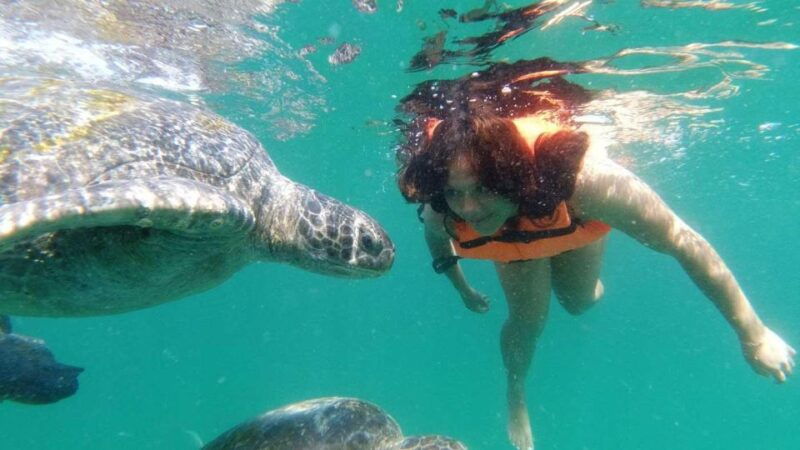 from-piura-excursion-to-mancora-swimming-with-turtles