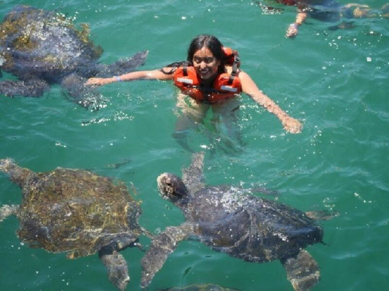 from-piura-excursion-to-mancora-swimming-with-turtles