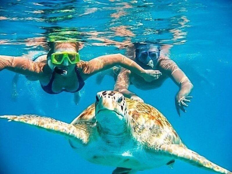 from-piura-excursion-to-mancora-swimming-with-turtles