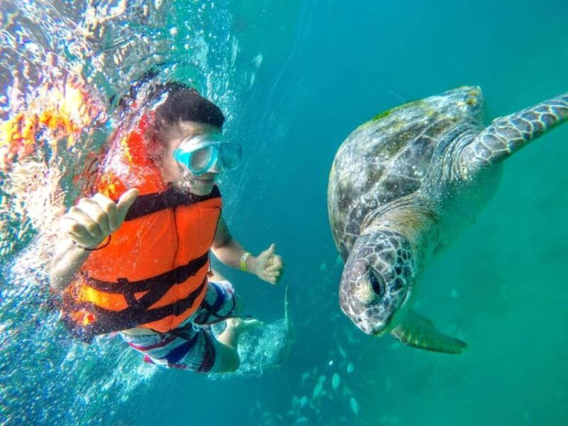 from-piura-excursion-to-mancora-swimming-with-turtles