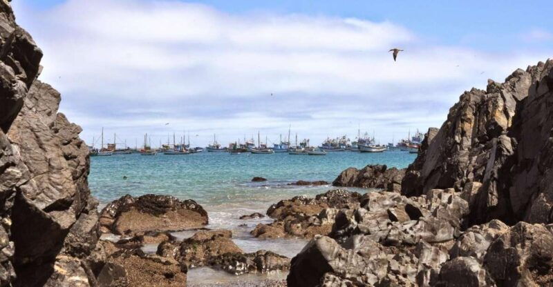 from-piura-full-day-excursion-to-paita-and-colan