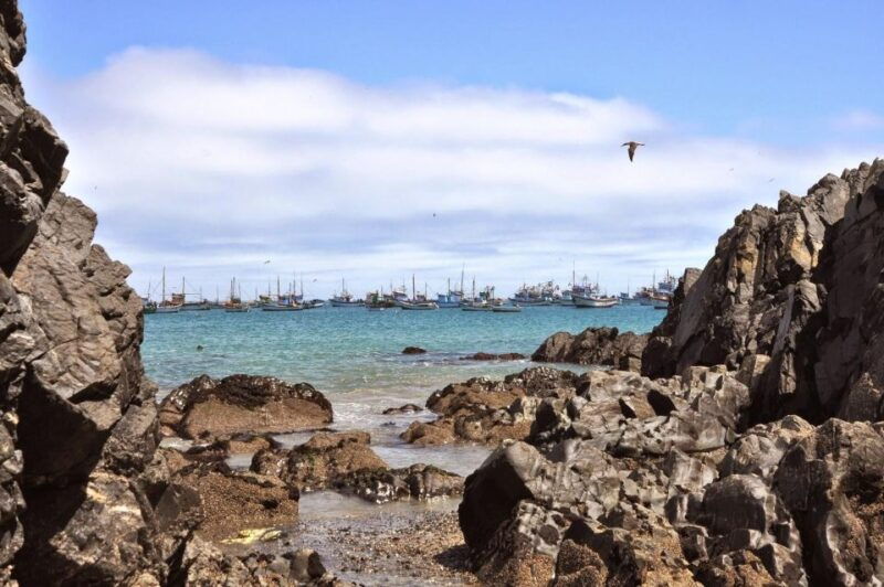 from-piura-full-day-excursion-to-paita-and-colan