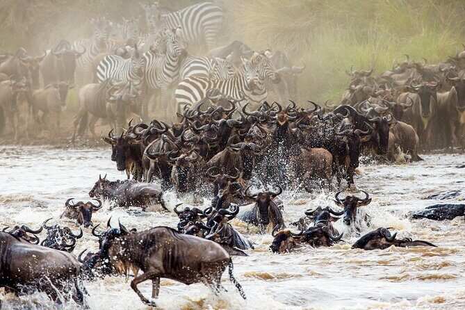 From Plains to Crater: 3-Day Midrange Safari in Northern Tanzania - From Plains to Crater: 3-Day Midrange Safari in Northern Tanzania