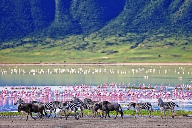 From Plains to Crater: 3-Day Midrange Safari in Northern Tanzania - Key Points