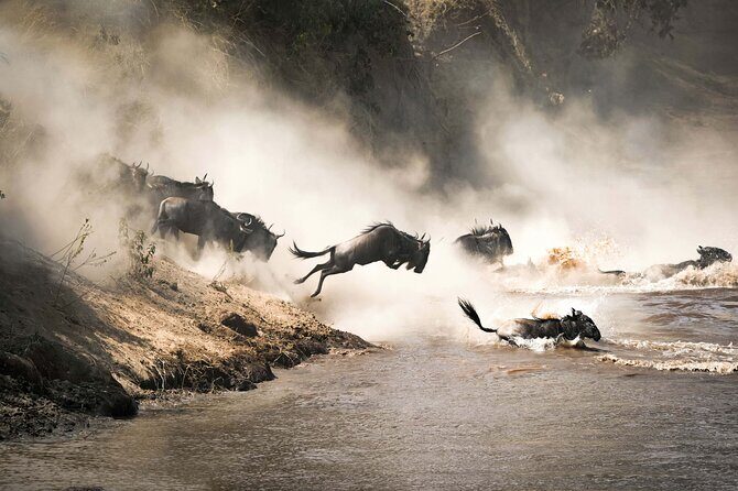 From Plains to Crater: 3-Day Midrange Safari in Northern Tanzania - The Cost: Is $1,200 Worth It?