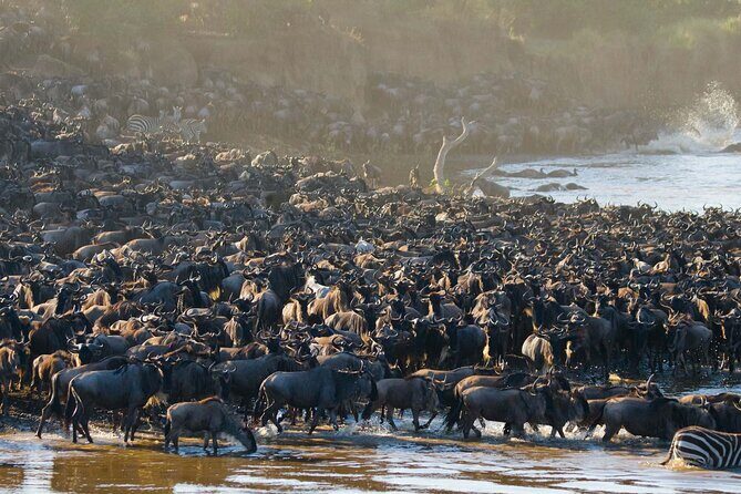 From Plains to Crater: 3-Day Midrange Safari in Northern Tanzania - FAQ Section