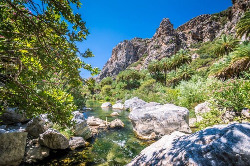 From Plakias: Beach Safari to Ammoudi and Preveli - Final Thoughts
