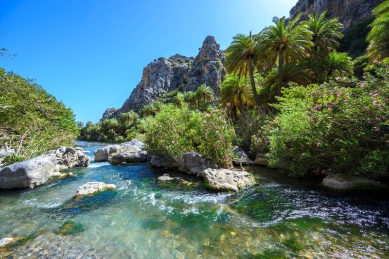 From Plakias: Beach Safari to Ammoudi and Preveli - FAQ