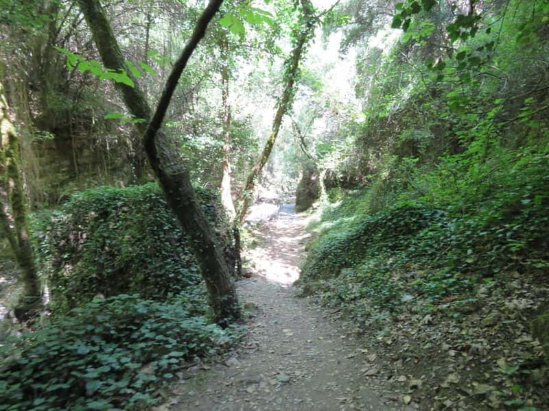 From Platanias: Guided Mountain Half day Trip with snack! - Discovering Crete’s Mountain Charm