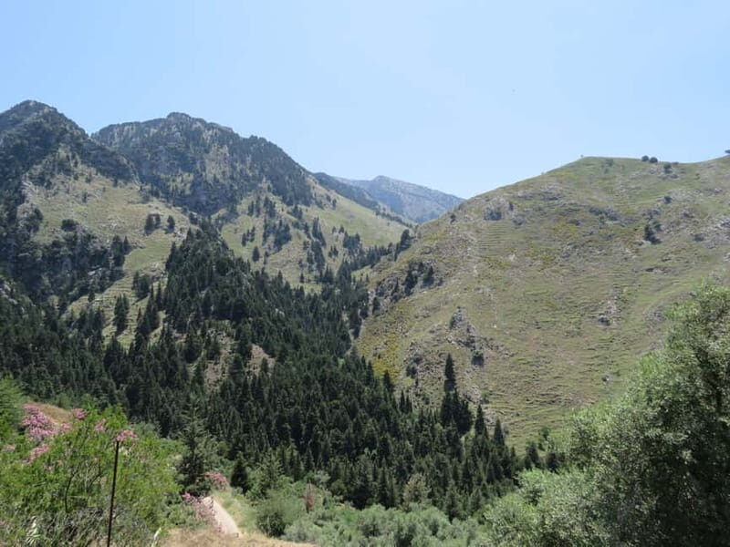 From Platanias: Guided Mountain Half day Trip with snack! - Who Will Love This Experience?
