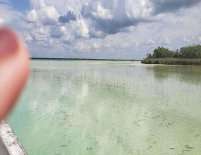 From Playa del Carmen: Lagoon k'an luum - What Makes It Stand Out?