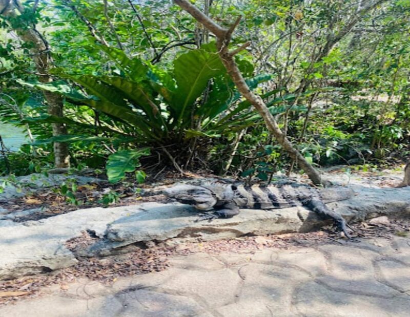 From Playa del Carmen: Lagoon k'an luum - What’s Included and What’s Not?