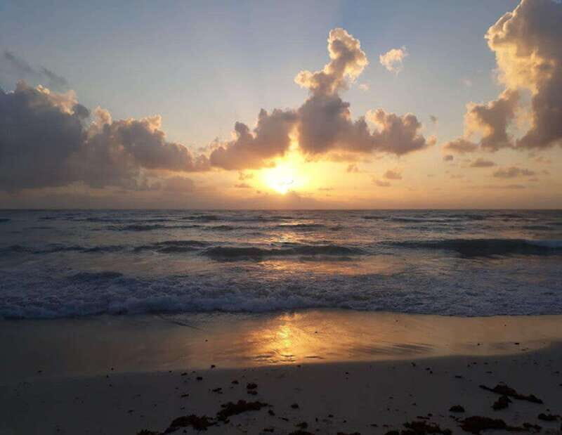 From Playa del Carmen: Lagoon k'an luum - Authentic Reviews and Insights