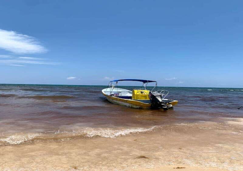From Playa del Carmen: Lagoon k'an luum - Comparing Similar Experiences