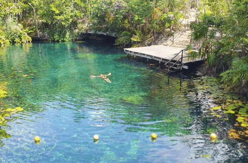 From Playa del Carmen: Private Mayan Jungle Expedition - Key Points  