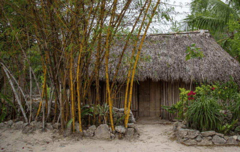 From Playa del Carmen: Private Mayan Jungle Expedition - The Guides and Transportation  