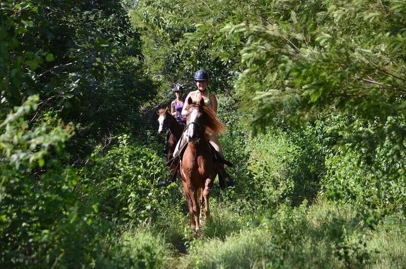 From Playa del Carmen/Tulum: Maya Adrenaline Park Tour - Reviews and Real Experiences
