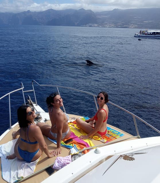 from-playa-san-juan-whale-watching-gigantes-and-masca-bay