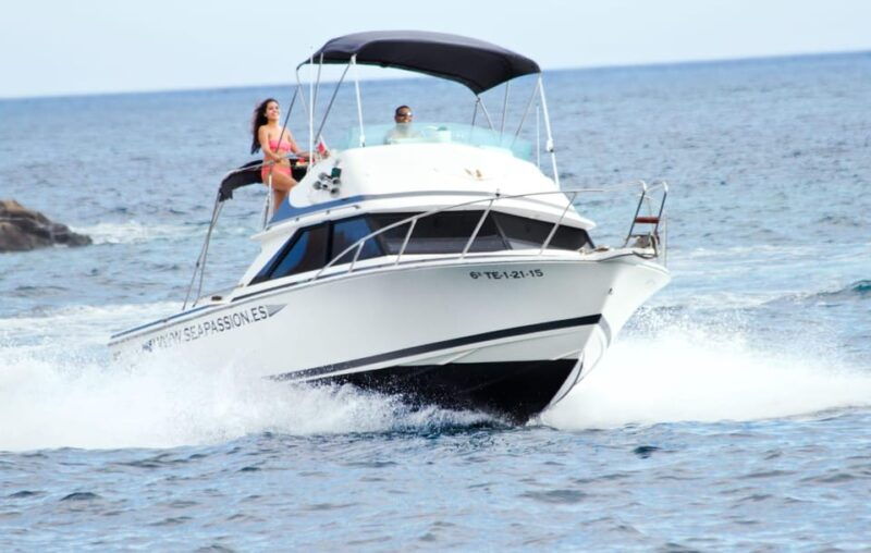 from-playa-san-juan-whale-watching-gigantes-and-masca-bay