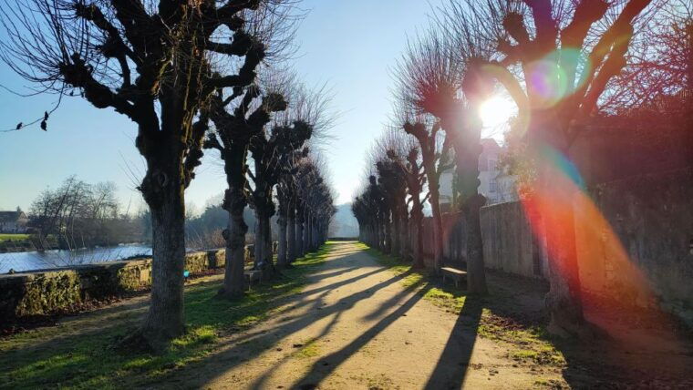 from-poitiers-private-tour-of-saint-savin