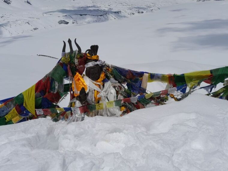 from-pokhara-10-day-poon-hill-and-annapurna-base-camp-trek