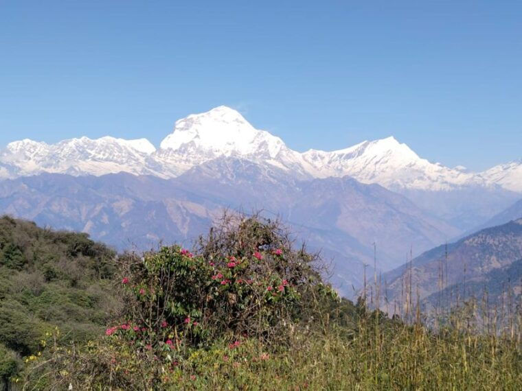 from-pokhara-10-day-poon-hill-and-annapurna-base-camp-trek